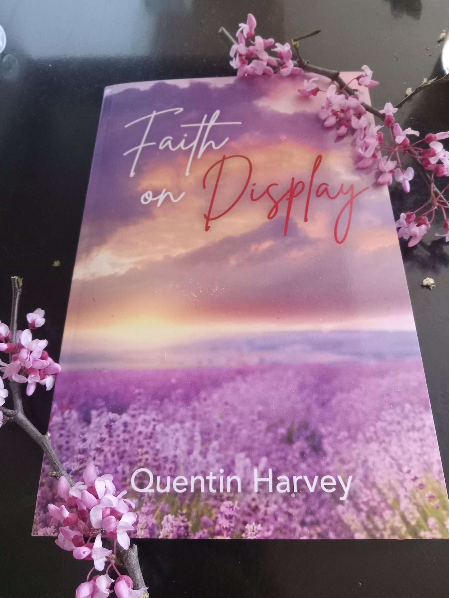 Faith on Display book by Quentin Harvey